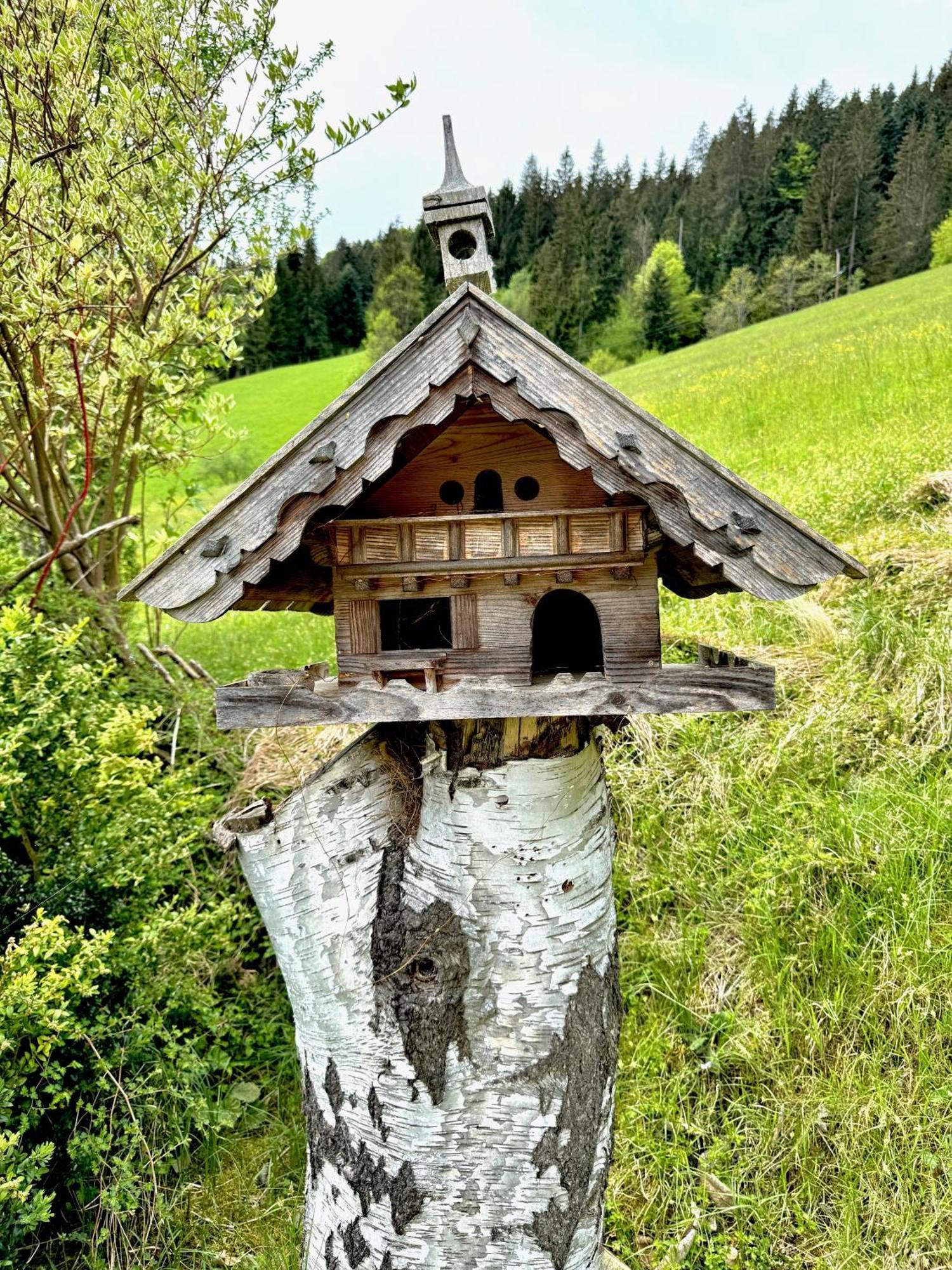 5* Panorama Chalet Mit Sauna By Belle Stay Going am Wilden Kaiser Exterior foto